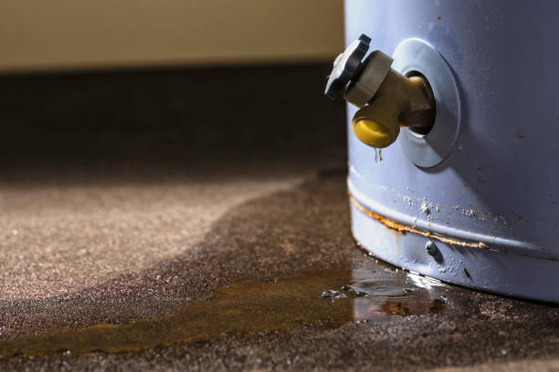 Best Water damage restoration near me  in Saranap, CA