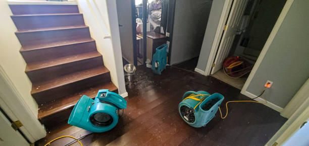 Best Sewage cleanup and water damage restoration  in Saranap, CA