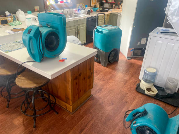 Best Professional water damage repair  in Saranap, CA