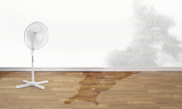 Best Local water damage restoration  in Saranap, CA