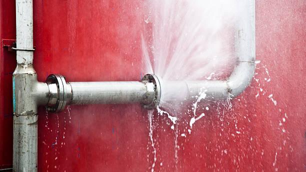 Best Carpet water damage restoration  in Saranap, CA