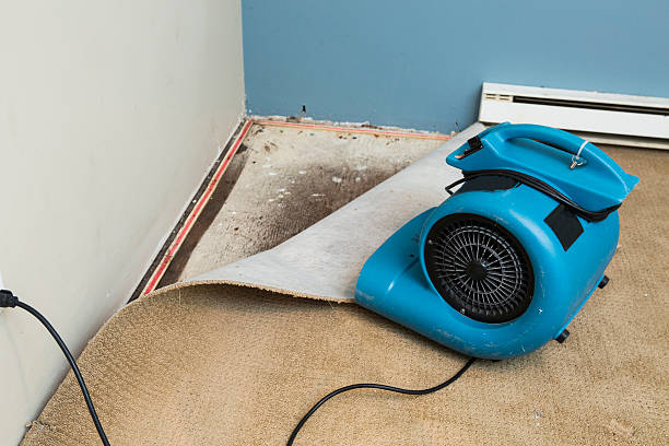Best Ceiling water damage repair  in Saranap, CA