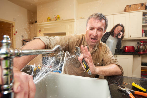 Best Flooded house restoration  in Saranap, CA